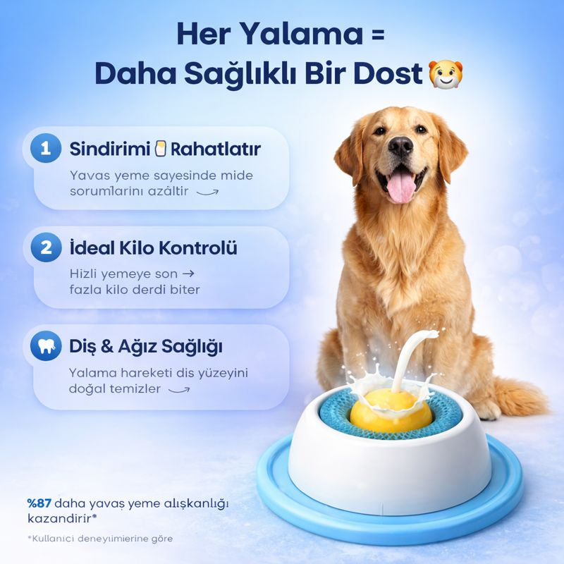 Patikap™ Yavaş Yeme Mama Kabı — Hızlı Yemeyi Durdur, Dağınıklığı Önle