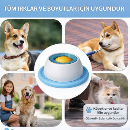 Patikap™ Yavaş Yeme Mama Kabı — Hızlı Yemeyi Durdur, Dağınıklığı Önle