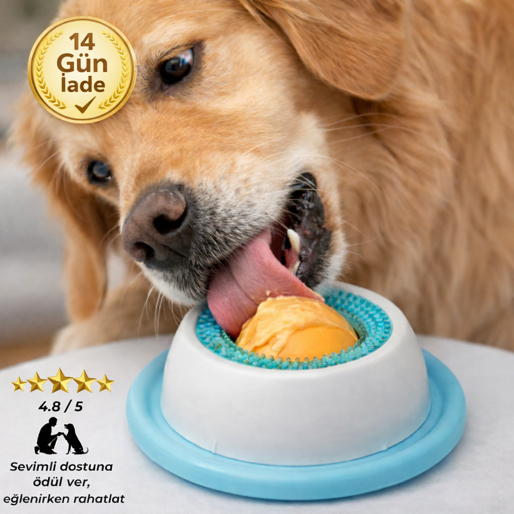 Patikap™ Yavaş Yeme Mama Kabı — Hızlı Yemeyi Durdur, Dağınıklığı Önle