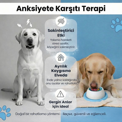 Patikap™ Yavaş Yeme Mama Kabı — Hızlı Yemeyi Durdur, Dağınıklığı Önle